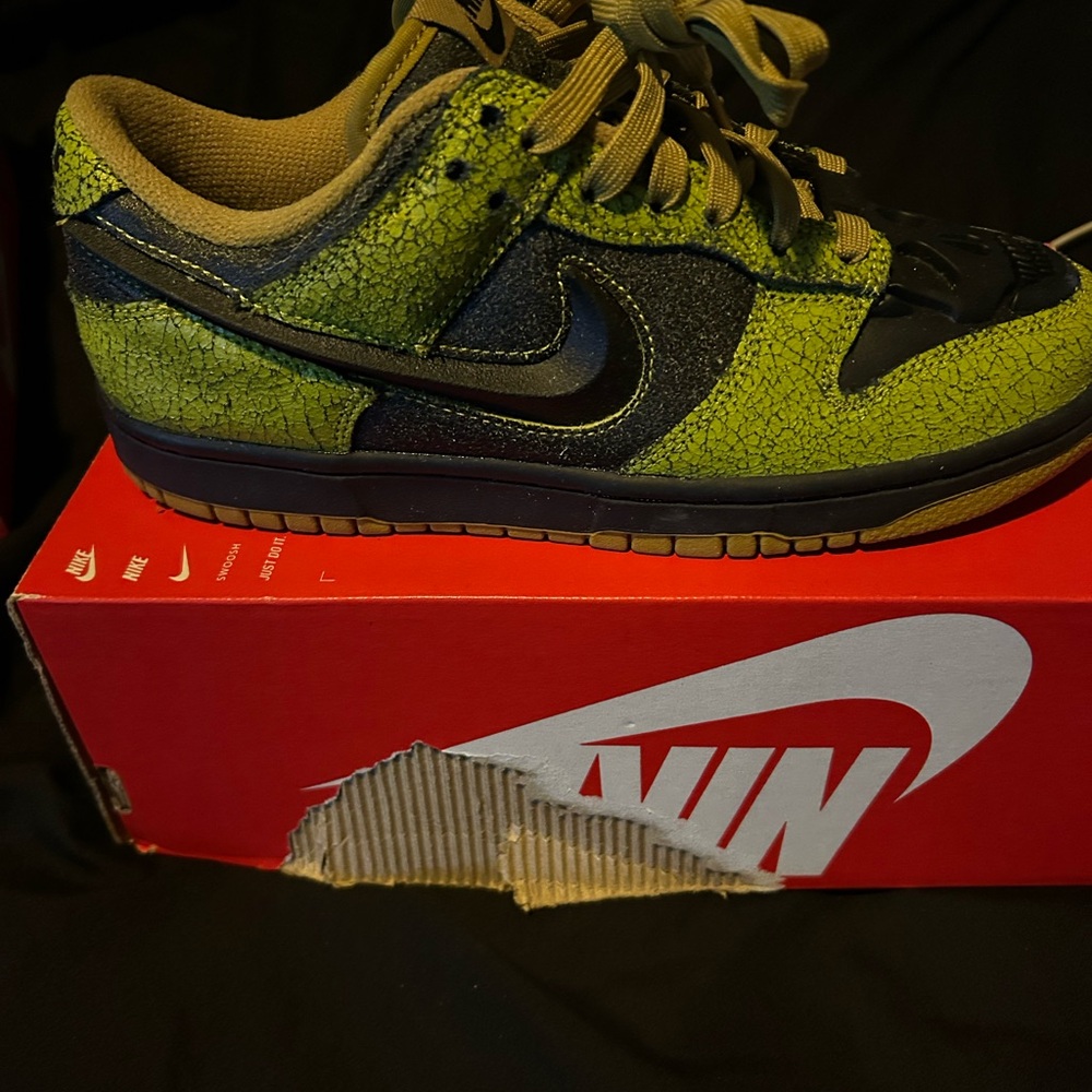 Nike Dunk Low Retro QS